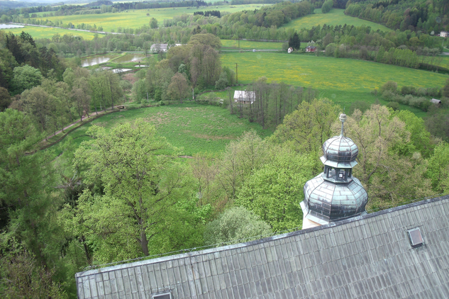 Věž